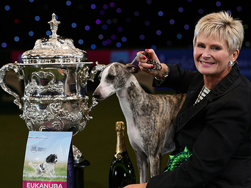 Crufts siirtyy heinäkuulle