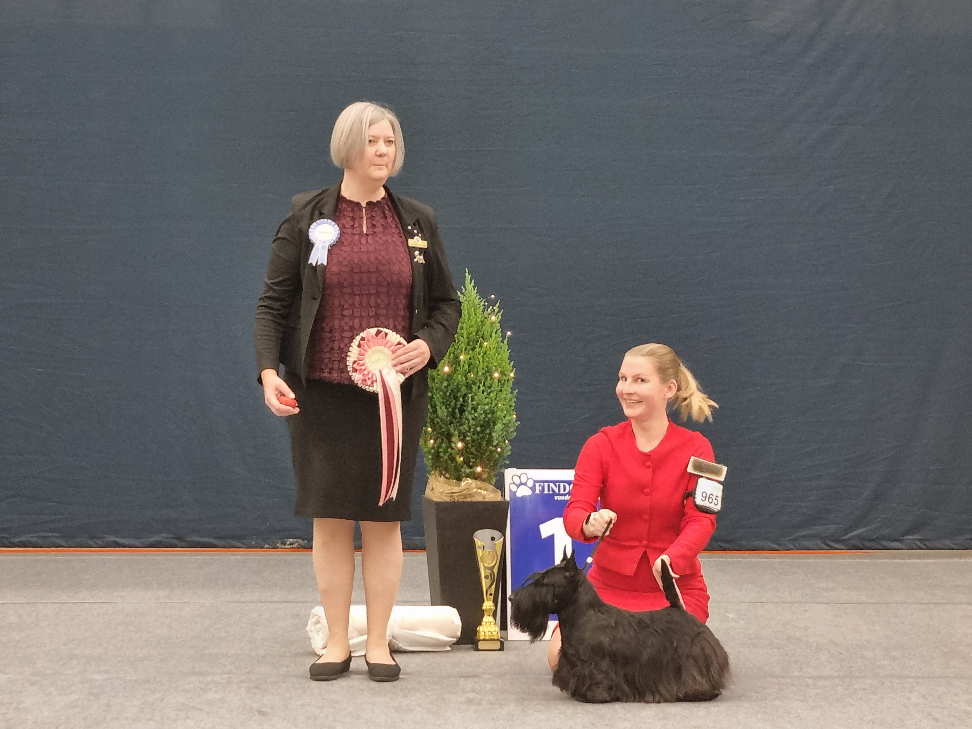 Skotlanninterrieri Quaint Theofilo on Vuoden 2024 Näyttelykoira. Seinäjoella ryhmätuomarina toimi ruotsalainen Catharina Hasselgren.