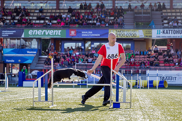 Santtu Stenberg on menestynyt monissa kilpailuissa bordercollie Rai Rain kanssa. Vantaalla koirakko voitti pikkumaksien SM-kultaa.
