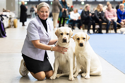 Kuva: Viivi Keinonen