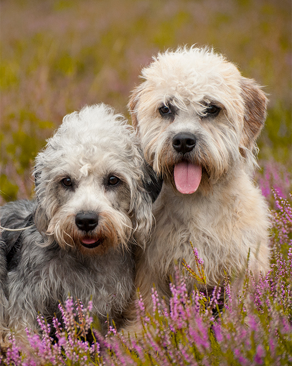 Kuva: Aino Pikkusaari