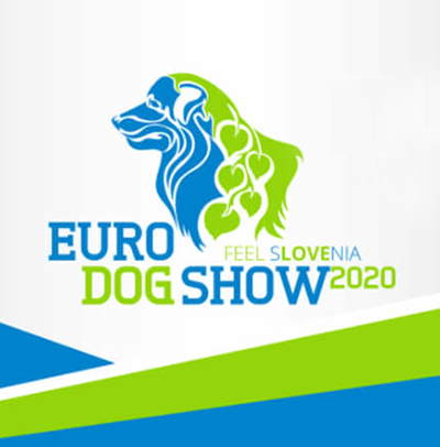 Euroopan Voittaja 2020