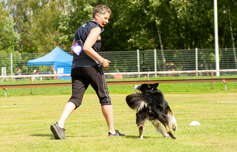 Christa Enqvist-Pukkila on tuore tokon MM-hopeamitalisti bordercollie Gingerbell Indeed A Messin kanssa.