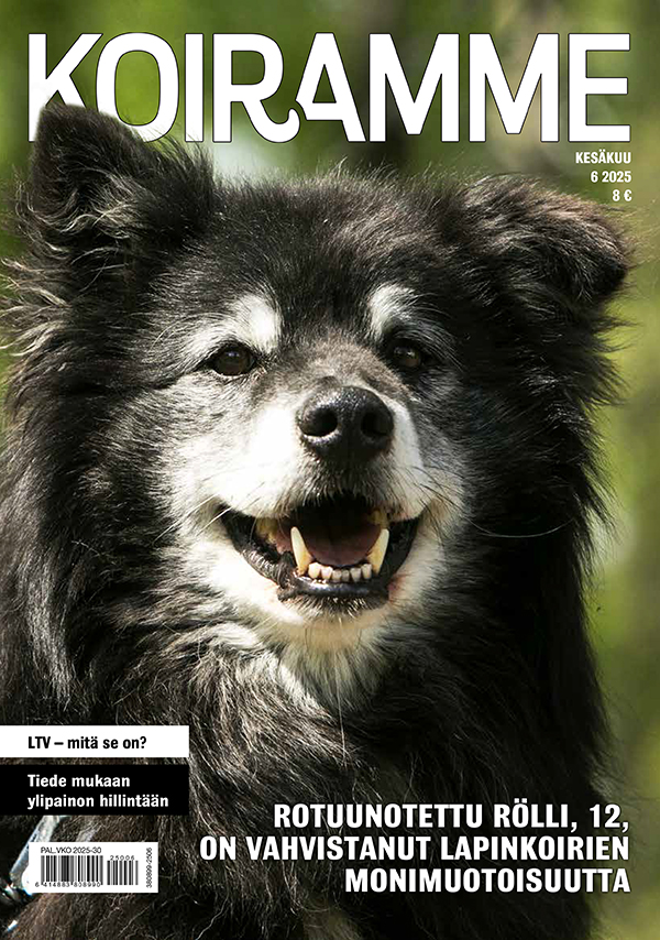 Koiramme kesäkuussa 2025
