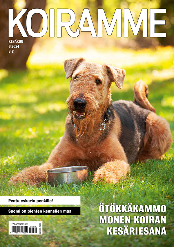 Koiramme kesäkuussa 2024