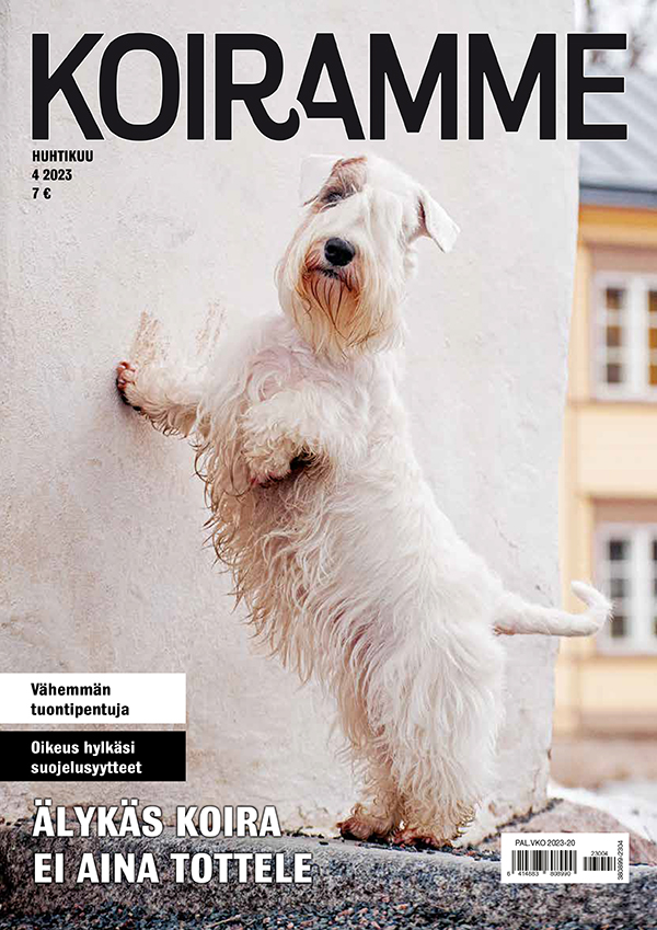 Koiramme huhtikuussa 2023