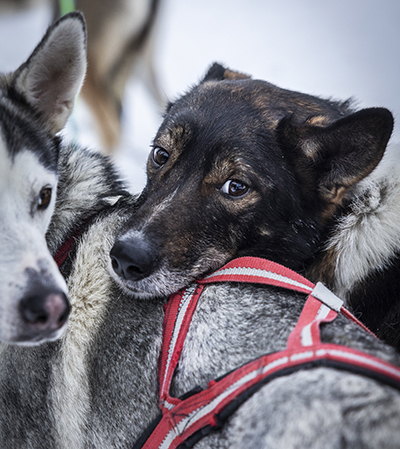 Kuva Karoliina Paatos