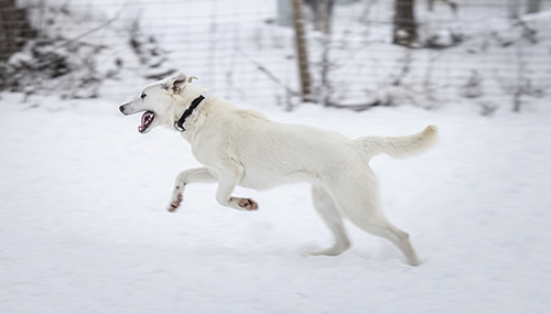 Kuva Karoliina Paatos