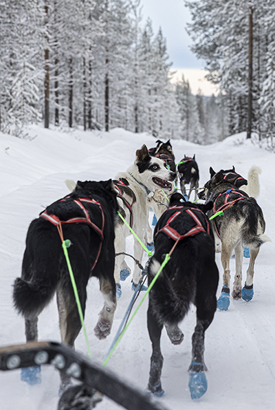 Kuva Karoliina Paatos