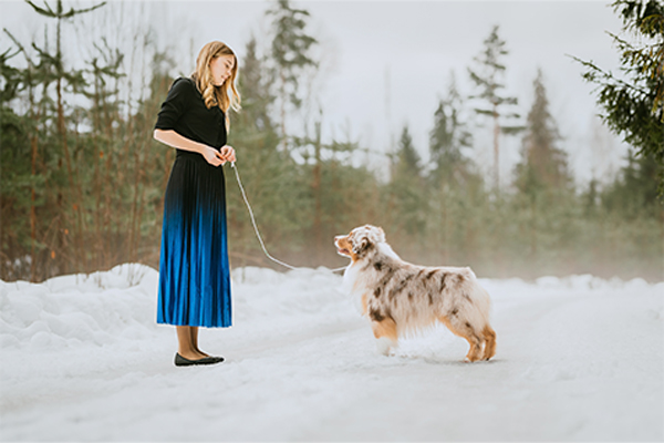 Karen Dunaway on kolmannen polven koiraharrastaja ja handleri, joka debytoi näyttelykehissä jo viisivuotiaana. Nykyään hänet näkee kehissä usein pieniamerikanpaimenkoiriensa kanssa.