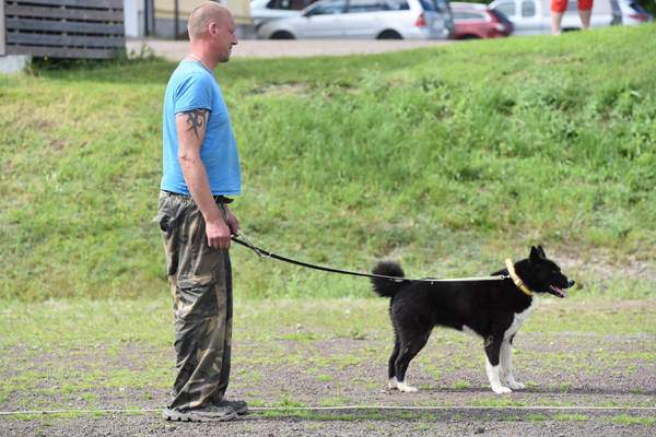 Talutin on kenties 10 0000 vanha keksintö!