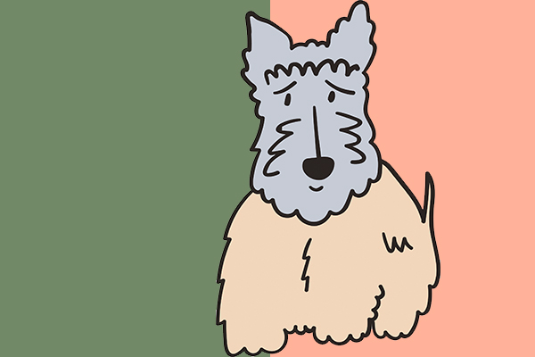 Uroksen tulisi olla vähintään vuoden tai puolentoista ikäinen, ennen kuin se voidaan kastroida. Tällöin koira on kehittynyt niin fyysisesti kuin henkisestikin aikuiseksi. Pohjoismaissa yleensä näin toimitaankin. 