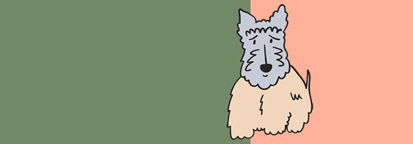 Uroksen tulisi olla vähintään vuoden tai puolentoista ikäinen, ennen kuin se voidaan kastroida. Tällöin koira on kehittynyt niin fyysisesti kuin henkisestikin aikuiseksi. Pohjoismaissa yleensä näin toimitaankin. 