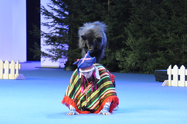 Koiratanssissa on kaksi eri kilpailulajia: vapaatanssi (freestyle) sekä seuraaminen musiikin tahdissa (heelwork to music, HTM). Ensi kesänä maailman parhaimmisto kokoontuu Suomeen kisaamaan MM-mitaleista. 