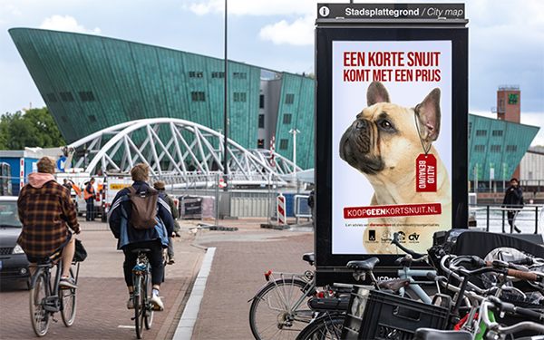 Kampanja ”Älä osta lyhytkuonoista koiraa” on saanut Hollannissa paljon näkyvyyttä. Lyhyt kuono kuuluu hintaan, sanotaan julisteessa ja korvalapussa lukee Aina tukkoinen. Kuva on Amsterdamista.