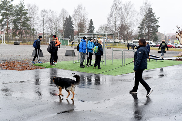 Koirien käyttöön oppilaitoksissa on kaivattu pitkään virallisia toimintaohjeita.