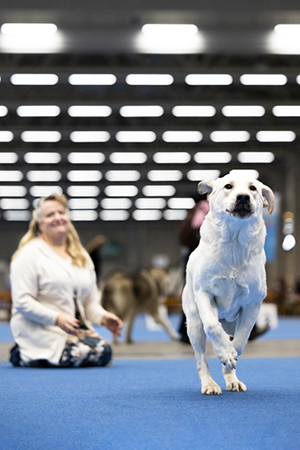 Kuva: Viivi Keinonen