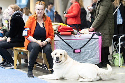 Kuva: Viivi Keinonen