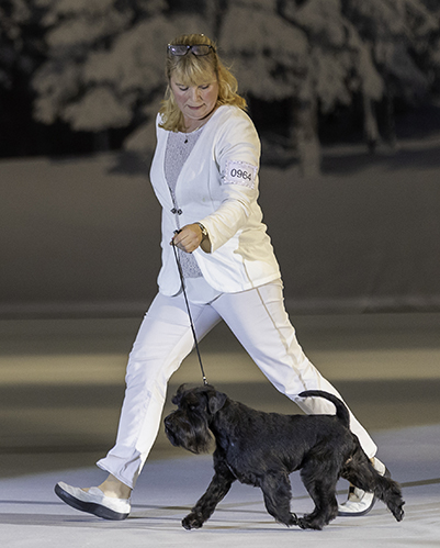Big Paw’s Secret Weapon. Kuva: Paula Heikkinen-Lehkonen