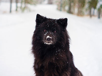 Kuva Kaisa Heikkinen