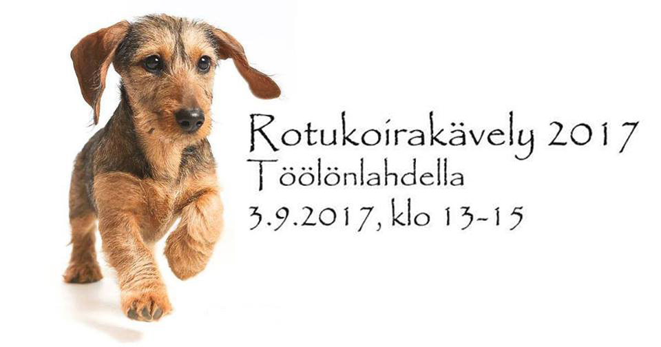 Rotukoirakävelyllä kerätään varoja avustajakoirille