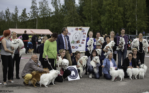 Varmaan koskaan aikaisemmin ei Suomessa ole nähty 33 volpino italianoa samassa paikassa yhtä aikaa.