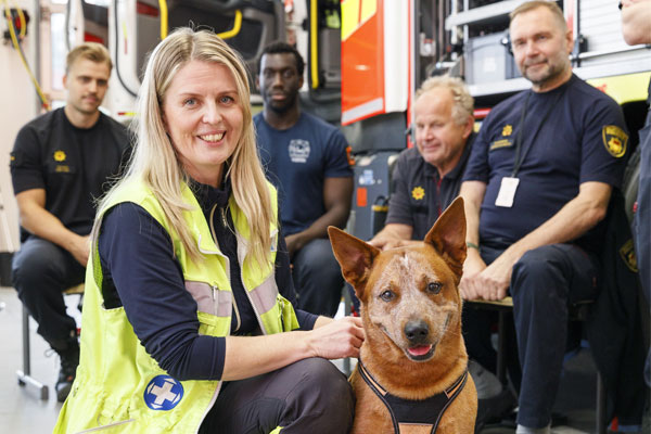 Kolarin jälkeen Tiia Tiainen päivitti koiriensa häkit turvallisemmiksi. ”Häkeistä ei saa rajussakaan iskussa irrota paloja, jotka vahingoittaisivat koiraa tai muita matkustajia. Häkin pitää olla sidottu tukevasti paikalleen, jotta se ei pääse törmäyksessä liikahtamaan tai litistämään koiraa”