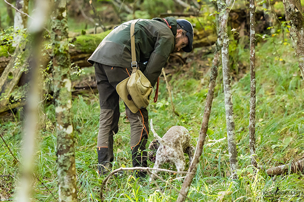 Italiassa oli lokakuussa lagotto romagnolojen kansainvälinen tapahtuma, jossa järjestettiin myös kaksipäiväinen tryffelinetsintäkoe. 