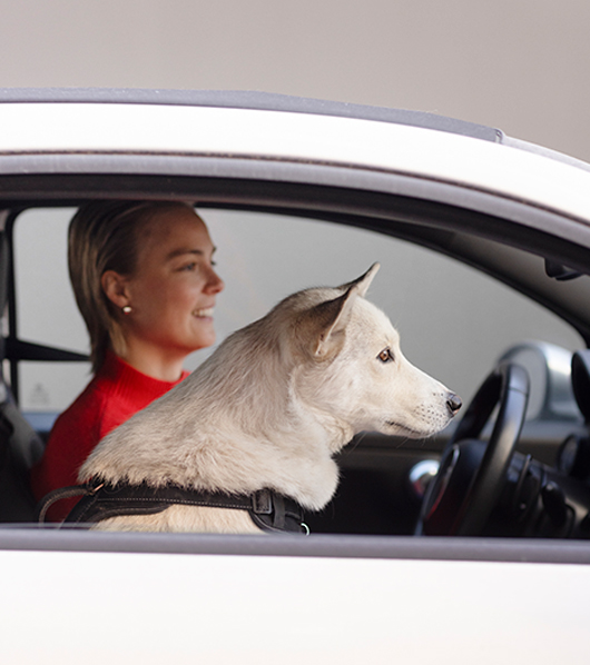 Kiira Korpi ja Pika-koira autossa. Koira istuu etupenkillä, Kiira ratin takana.