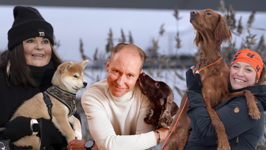 Kolme koiranomistajaa koiriensa kanssa yhdistetyssä ryhmäkuvassa.